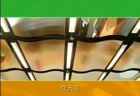 컨һ (20950)
